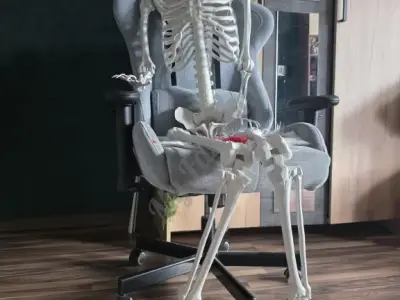 Скелет