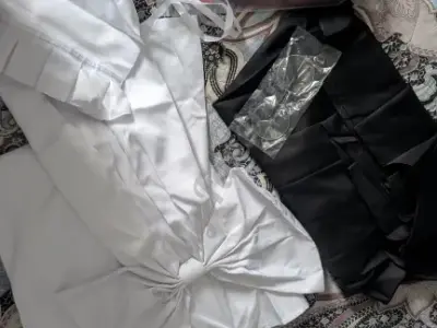 Мейлин Темный дворецкий